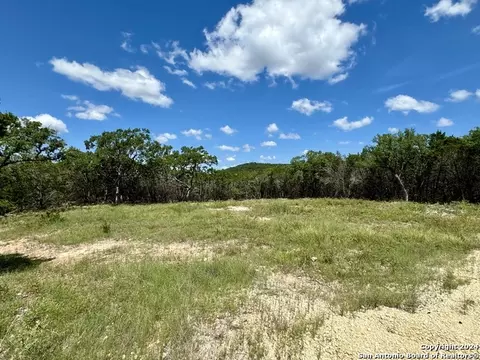 lot264 Pr 1709, Mico, TX 78056