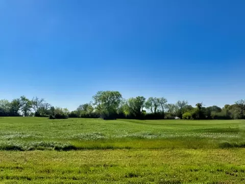 lot37 Panther Ridge Dr, Iola, TX 77861
