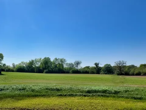 lot38 Panther Ridge Dr, Iola, TX 77861