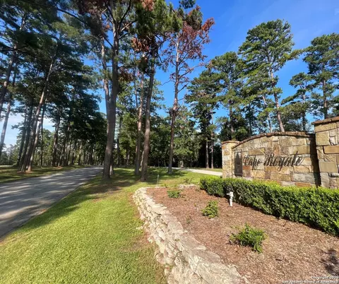 91 Twinstone Cir, Coldspring, TX 77331