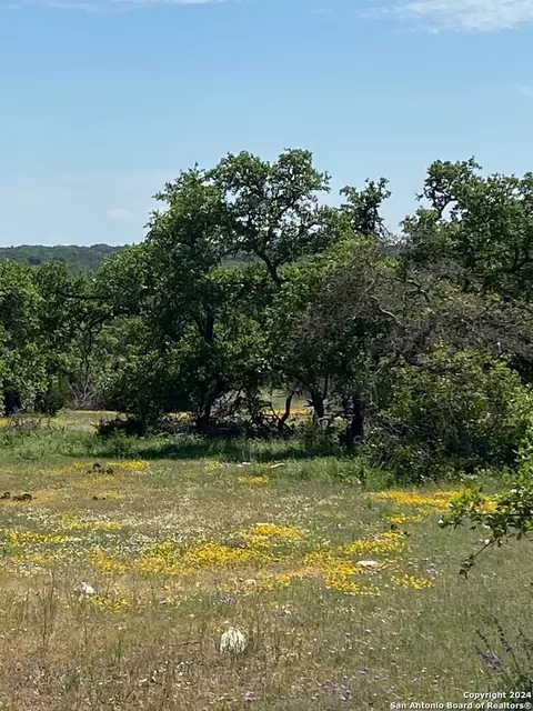 tbd Taurus Ln Taurus, Junction, TX 76849 photo 3
