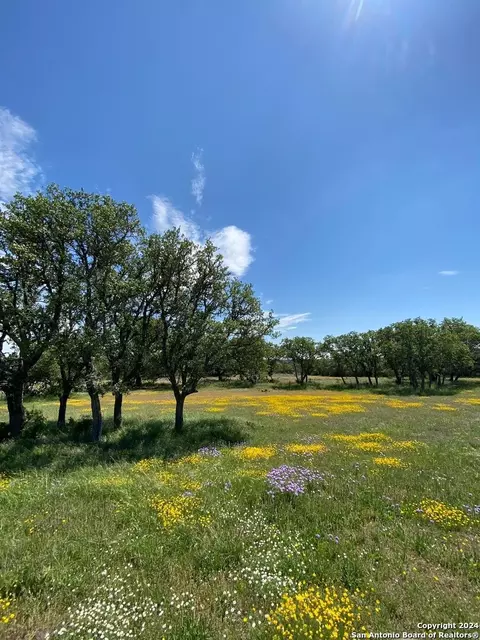 tbd Taurus Ln Taurus, Junction, TX 76849 photo 8