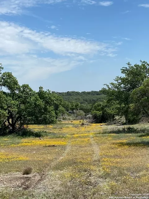 tbd Taurus Ln Taurus, Junction, TX 76849 photo 2