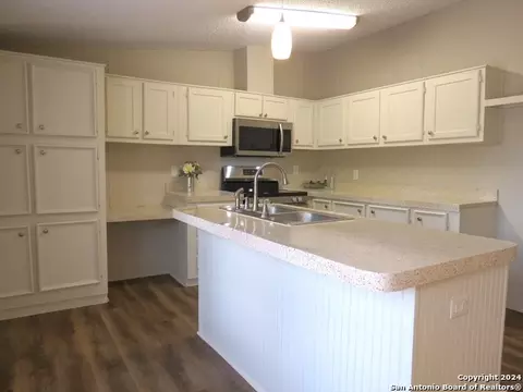 315 Loraine Dr, Devine, TX 78016 photo 4