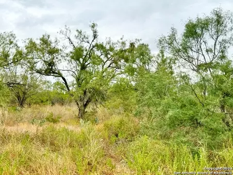103 Cr 2636, Devine, TX 78016