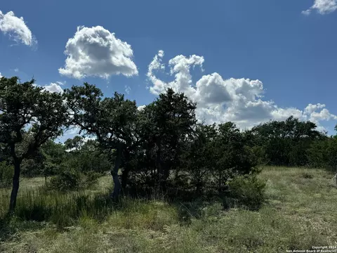 114 Peter Kleid Loop, Blanco, TX 78606 photo 14