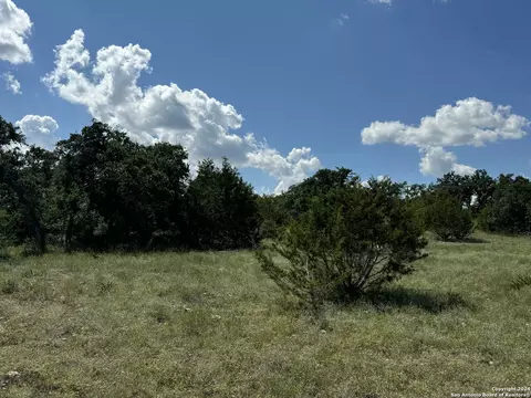 114 Peter Kleid Loop, Blanco, TX 78606 photo 11