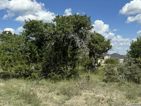 114 Peter Kleid Loop, Blanco, TX 78606 photo 17