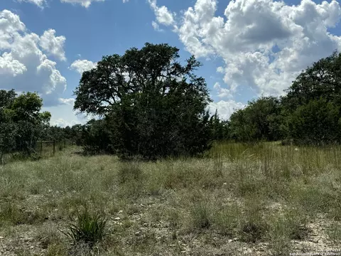 114 Peter Kleid Loop, Blanco, TX 78606 photo 16