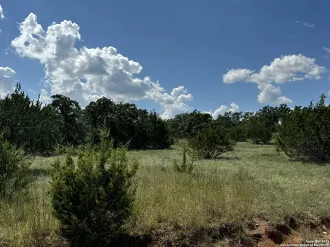114 Peter Kleid Loop, Blanco, TX 78606