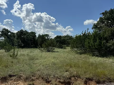 114 Peter Kleid Loop, Blanco, TX 78606 photo 10