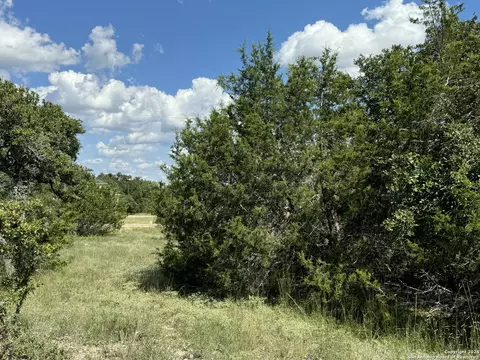114 Peter Kleid Loop, Blanco, TX 78606 photo 3