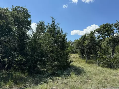114 Peter Kleid Loop, Blanco, TX 78606 photo 12