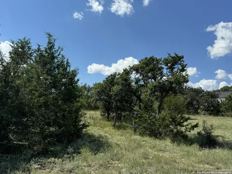 114 Peter Kleid Loop, Blanco, TX 78606 photo 13
