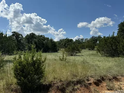 114 Peter Kleid Loop, Blanco, TX 78606 photo 9