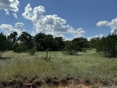 114 Peter Kleid Loop, Blanco, TX 78606 photo 2