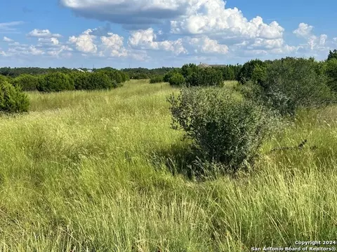 311 Bosque Rdg, Spring Branch, TX 78070 photo 5