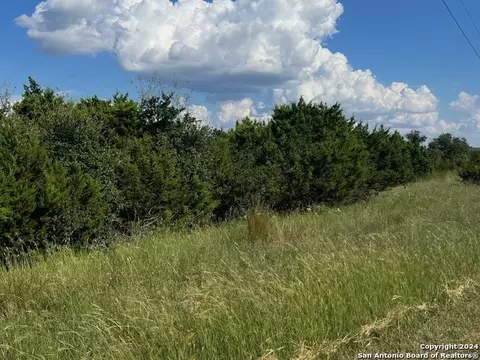 311 Bosque Rdg, Spring Branch, TX 78070 photo 6