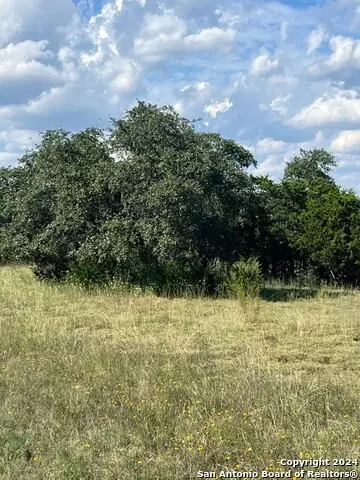 317 Bosque Rdg, Spring Branch, TX 78070