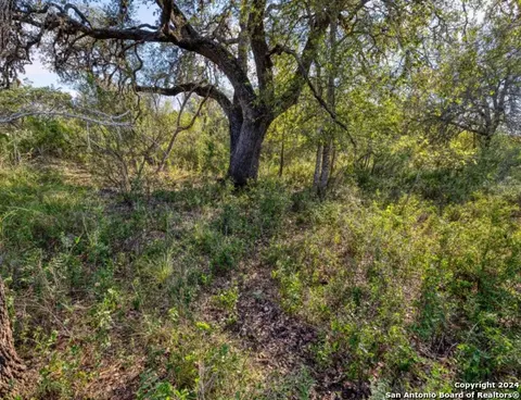 00 Utopia Frst, Dhanis, TX 78850 photo 30