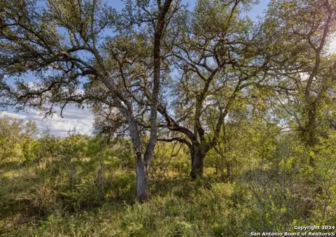 00 Utopia Frst, Dhanis, TX 78850 photo 10