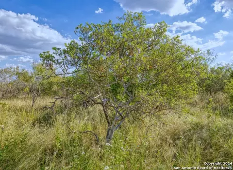 00 Utopia Frst, Dhanis, TX 78850 photo 22