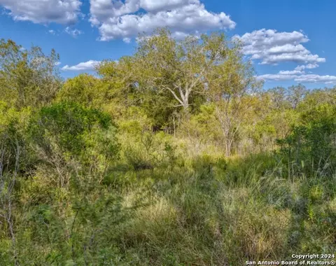 00 Utopia Frst, Dhanis, TX 78850 photo 29