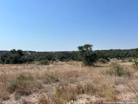 134 George Dolson, Blanco, TX 78606 photo 3