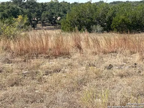 134 George Dolson, Blanco, TX 78606 photo 9