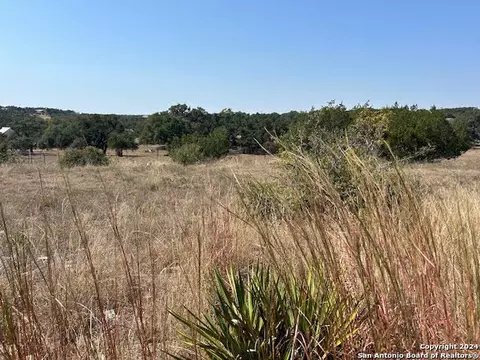 134 George Dolson, Blanco, TX 78606