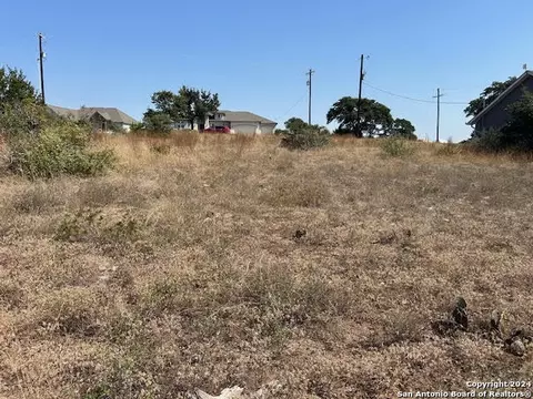 134 George Dolson, Blanco, TX 78606 photo 8