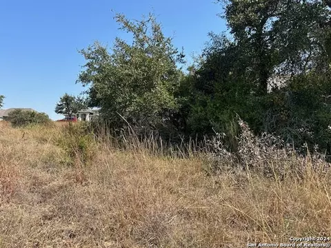 134 George Dolson, Blanco, TX 78606 photo 10