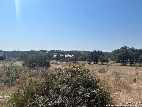 134 George Dolson, Blanco, TX 78606 photo 7
