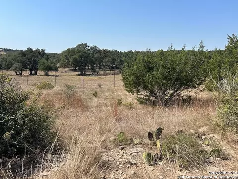134 George Dolson, Blanco, TX 78606 photo 6