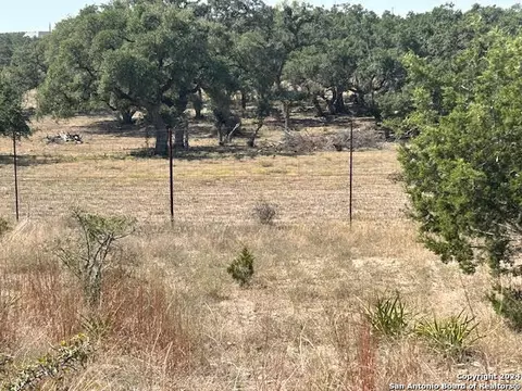 134 George Dolson, Blanco, TX 78606 photo 5