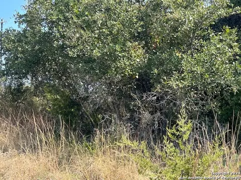 134 George Dolson, Blanco, TX 78606 photo 11
