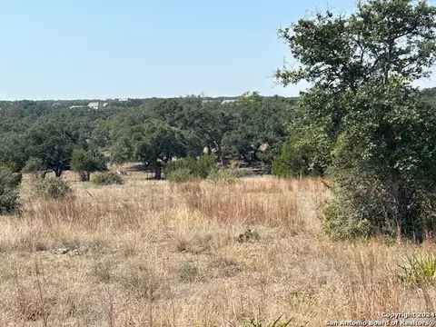 134 George Dolson, Blanco, TX 78606 photo 4