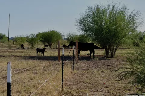 3211 Cr 301, Knippa, TX 78870