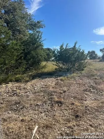 105 Eli Seal, Blanco, TX 78606 photo 1