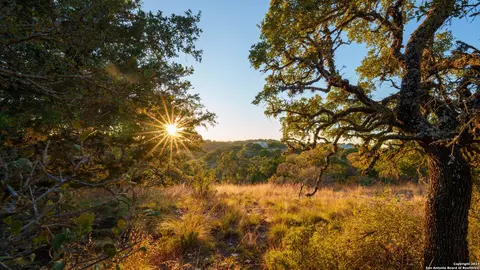 259 Lookout Pt N, Comfort, TX 78013