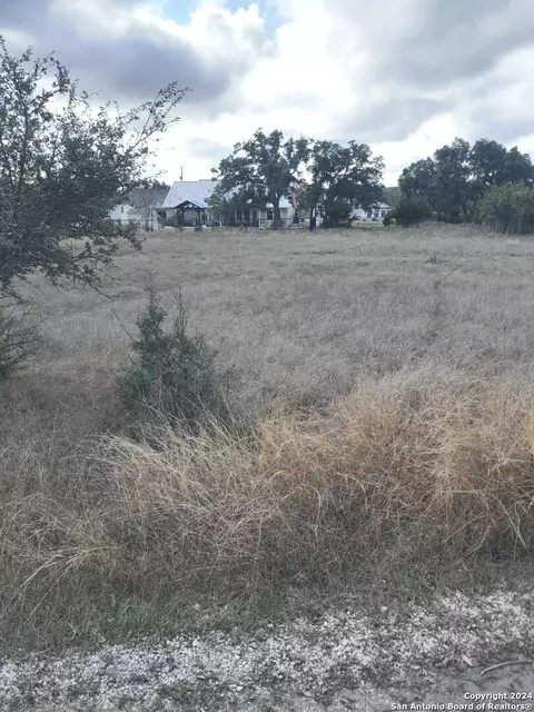 123 Antonio Perez, Blanco, TX 78606 photo 1