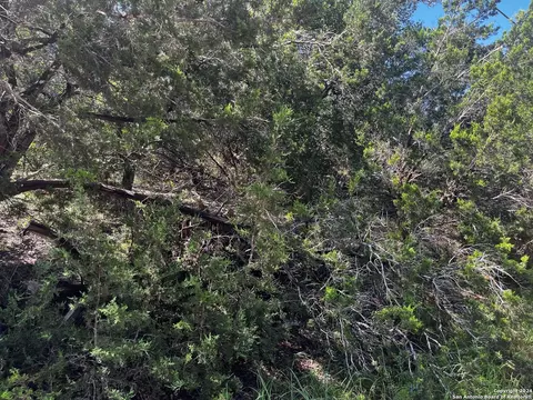 628 Hillside Dr, Spring Branch, TX 78070 photo 6