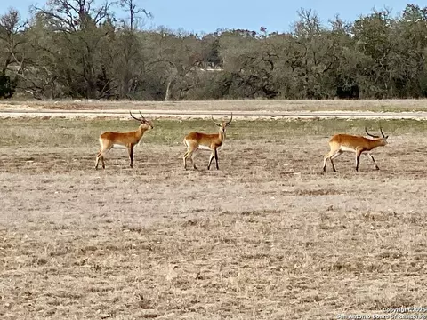 -- Oryx View Dr., Harper, TX 78631 photo 14