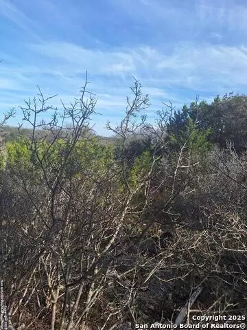 1284 Levi English, Blanco, TX 78606