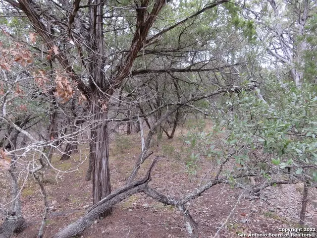  lot216217 W Slop Trl, Lakehills, TX 78063 photo 7