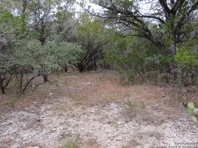  lot216217 W Slop Trl, Lakehills, TX 78063 photo 5