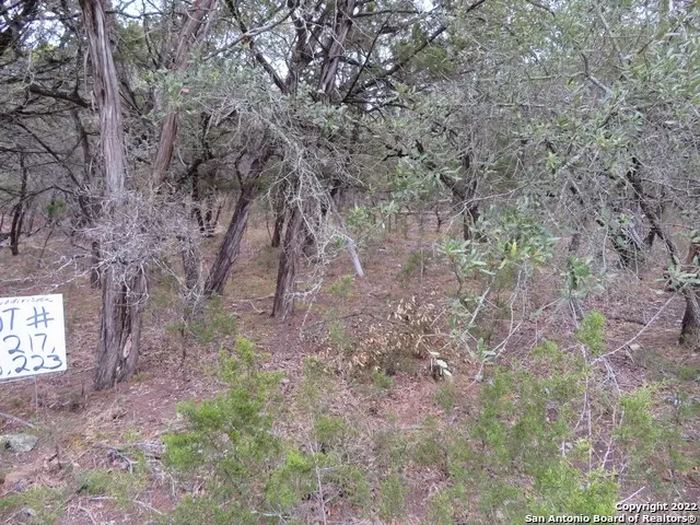  lot216217 W Slop Trl, Lakehills, TX 78063 photo 4