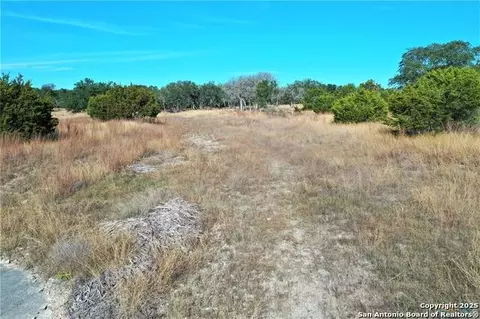111 Dodder, Spring Branch, TX 78070 photo 10