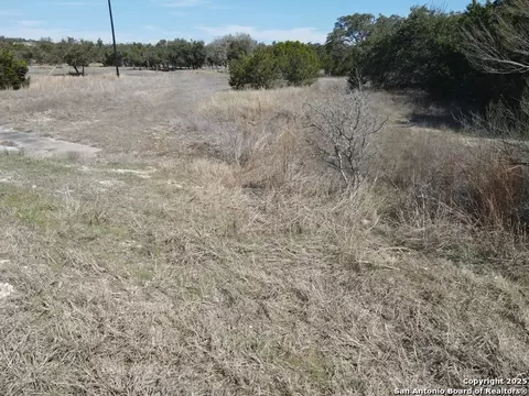 111 Dodder, Spring Branch, TX 78070 photo 5