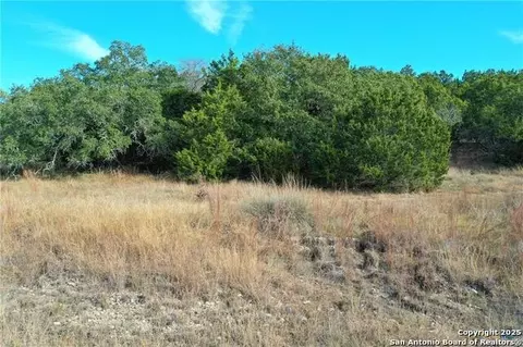 111 Dodder, Spring Branch, TX 78070 photo 9